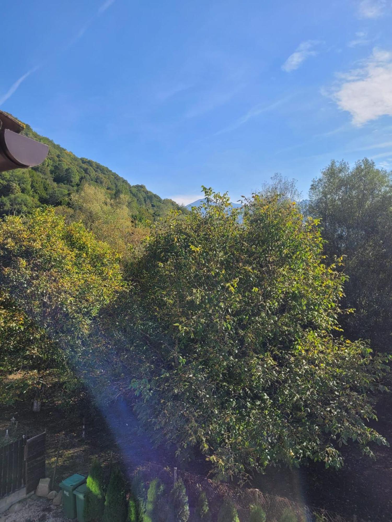 Vila Emma Rîşnov Buitenkant foto