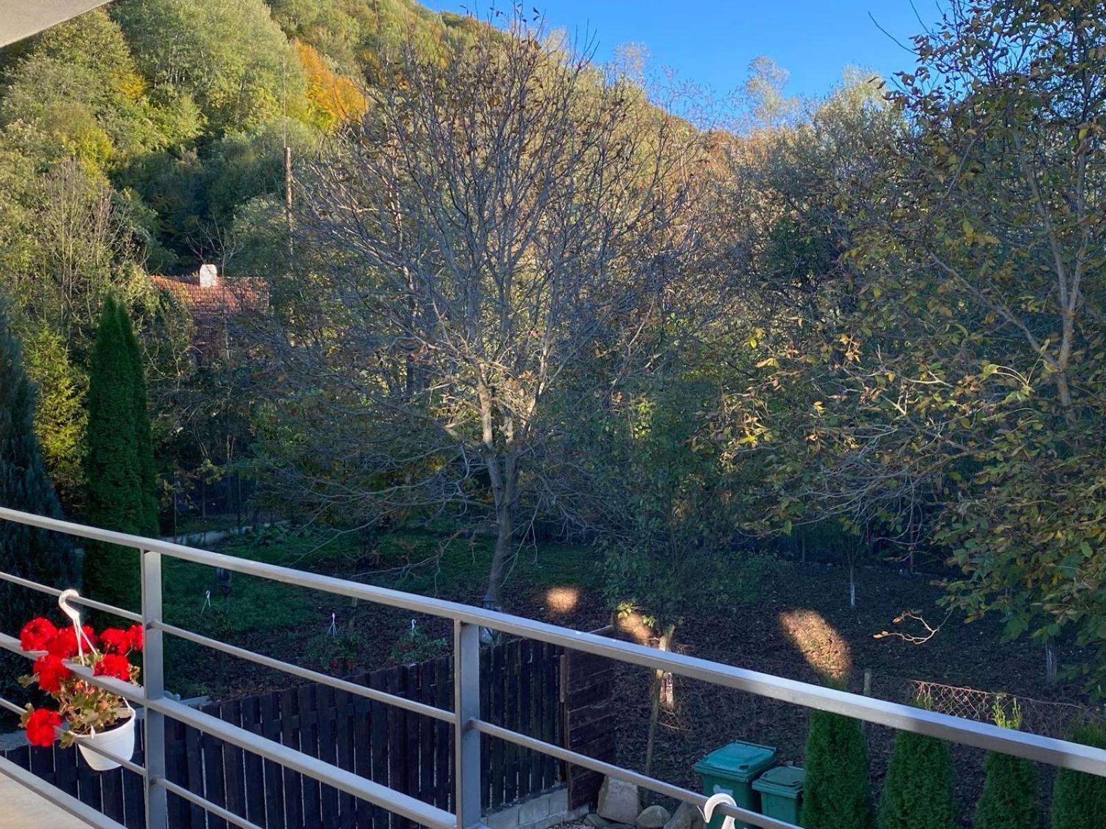 Vila Emma Rîşnov Buitenkant foto