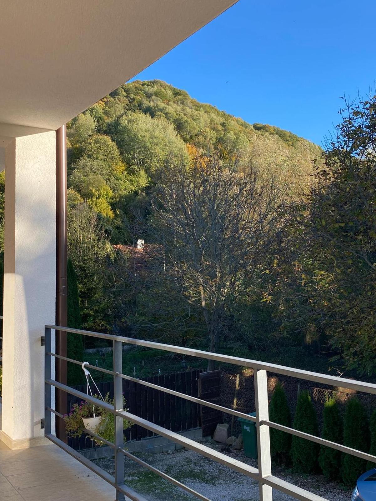 Vila Emma Rîşnov Buitenkant foto