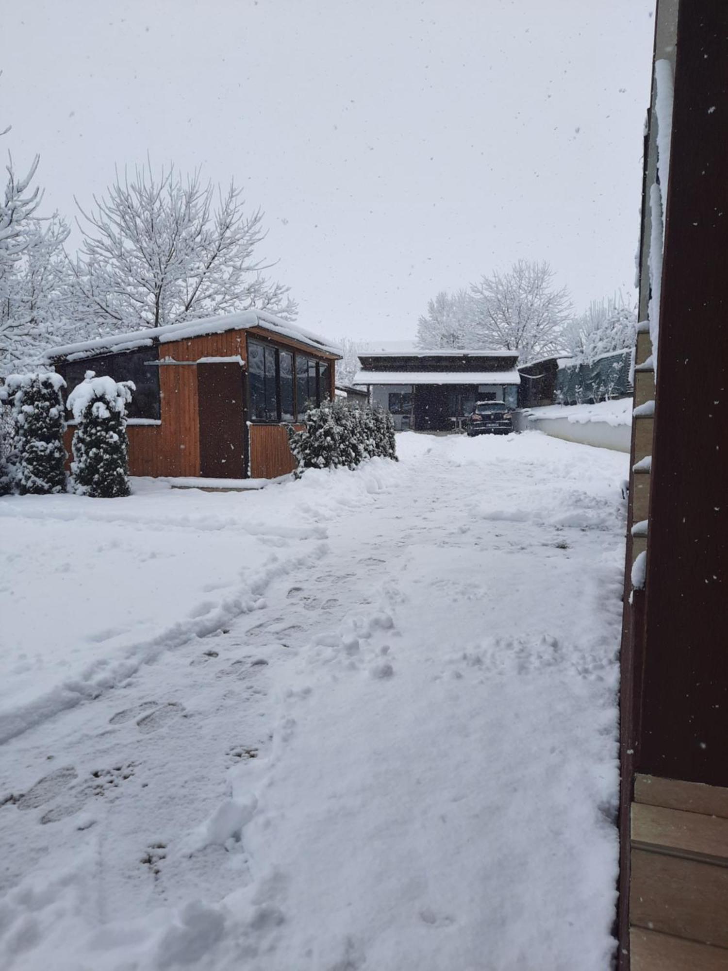 Vila Emma Rîşnov Buitenkant foto