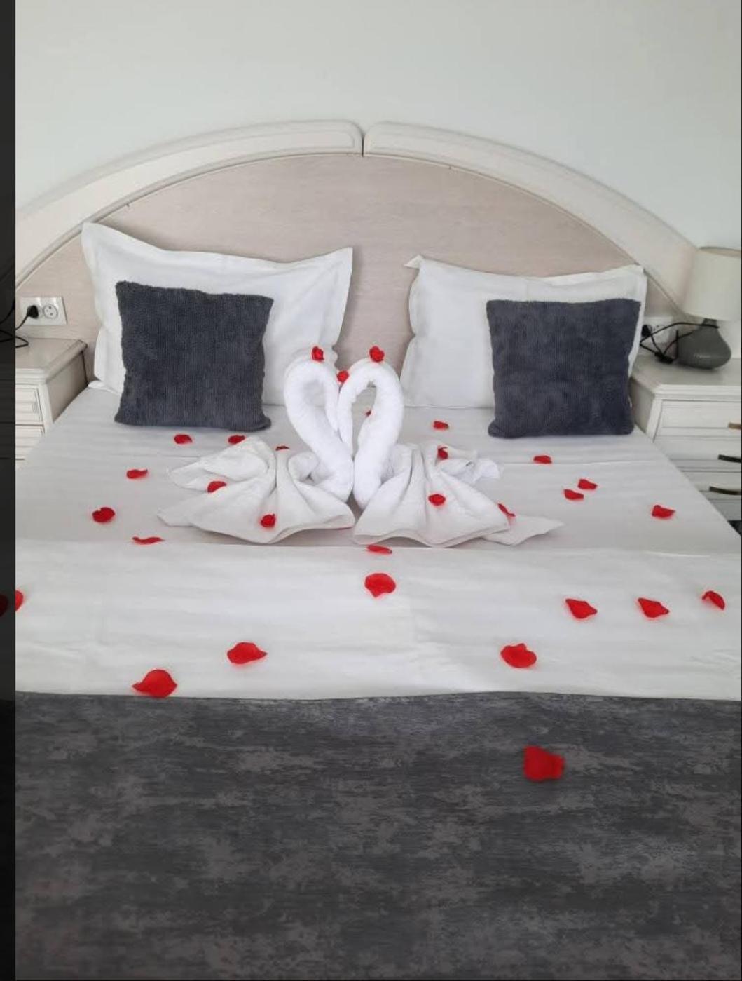 Vila Emma Rîşnov Buitenkant foto